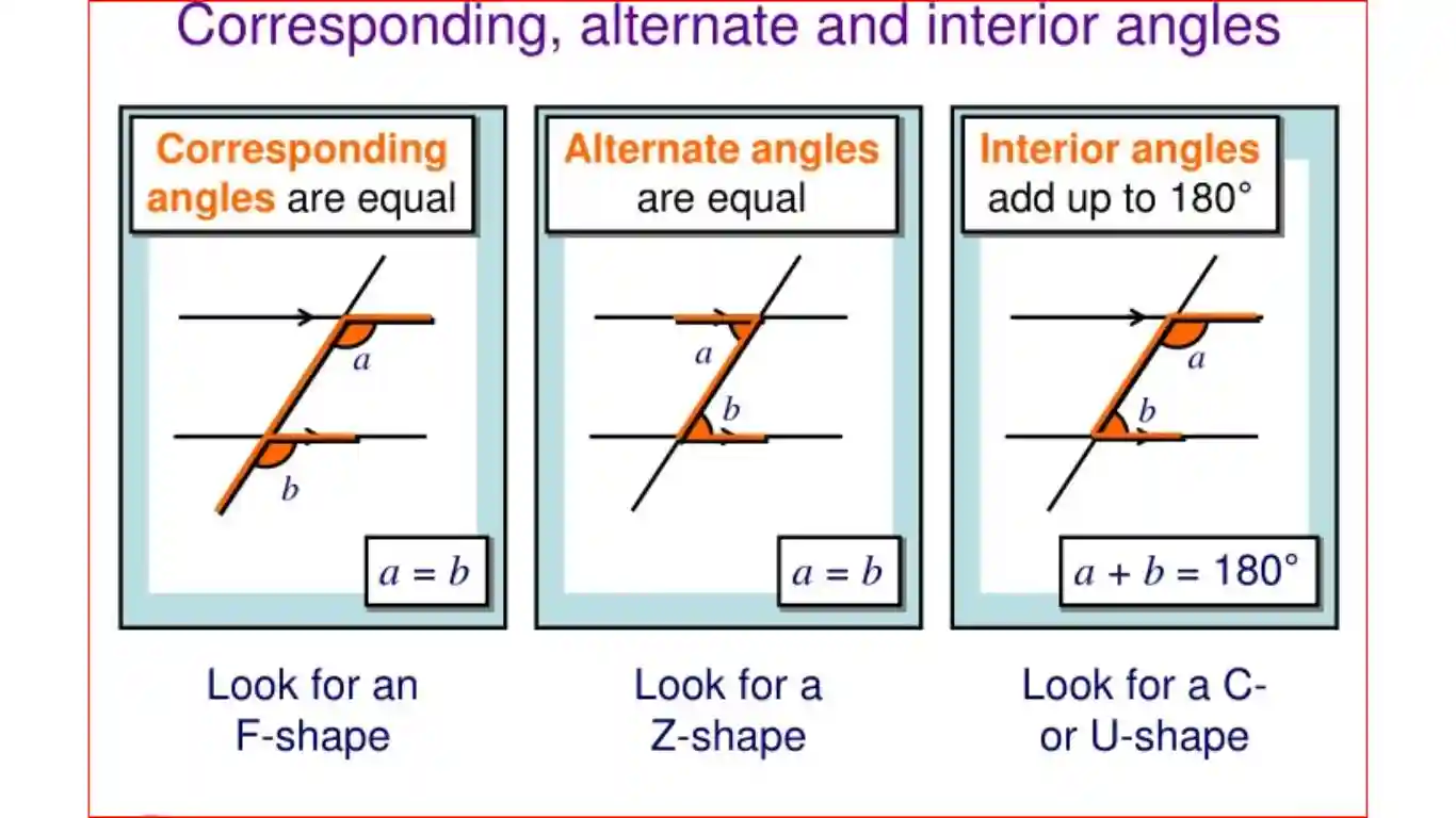 What is alternate interior angle, corresponding angles, and co-interior angles 7D Plans